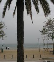mediterranean at barceloneta