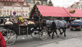 horsedrawn carriage