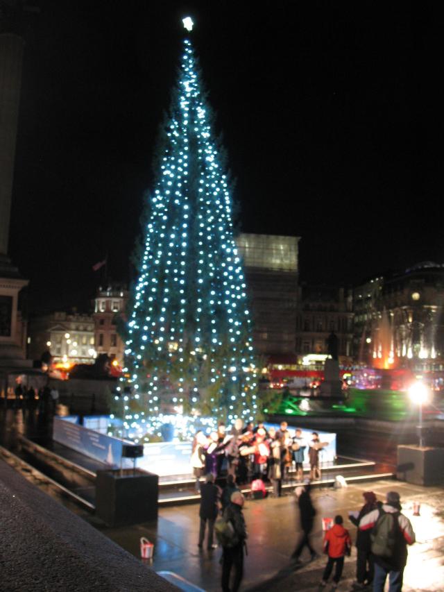 tree on Trafalgar Square, London
