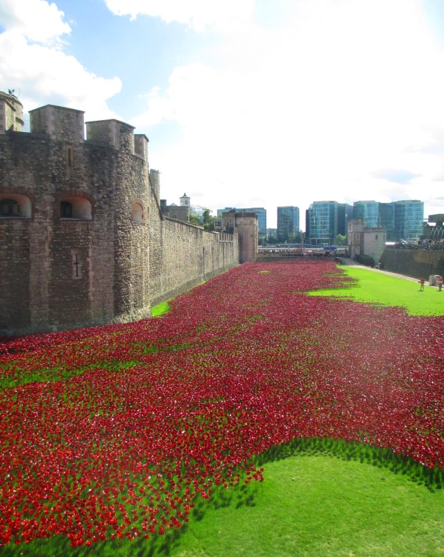 poppies at the Tower 1